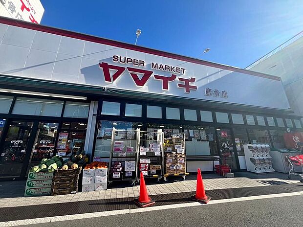 ヤマイチ鹿骨店（約350m）