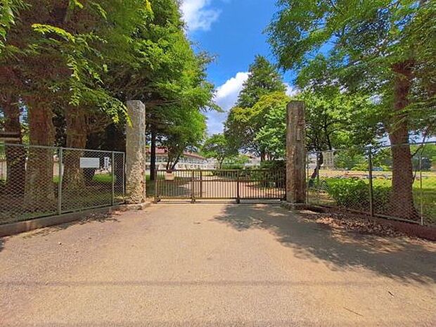 富里市立富里南小学校(約1,170m)