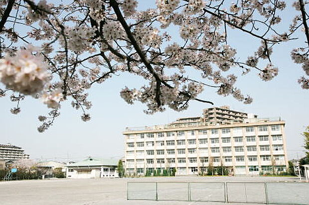八潮市立八幡中学校（約1,940m）