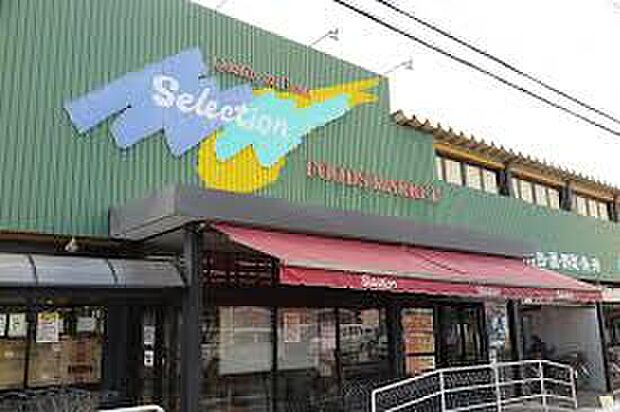 セレクション三郷店（約1,186m）