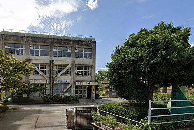 熊本市立高平台小学校（約1m）