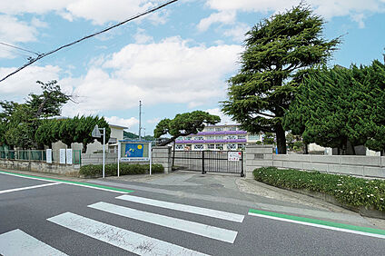 稲毛小学校（現地より徒歩13分） 約1000m