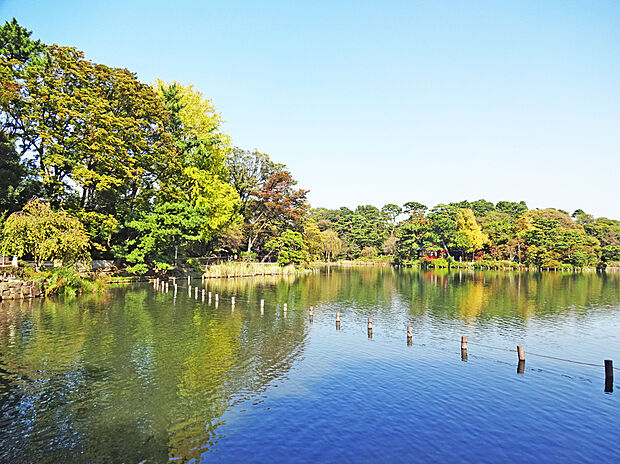 洗足池公園（約180m）