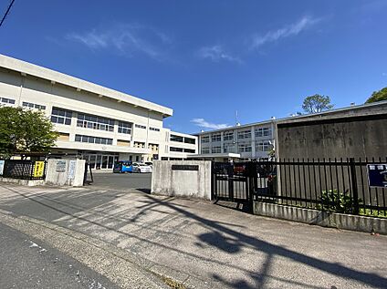 市立新舞鶴小学校 約300ｍ(徒歩約4分)