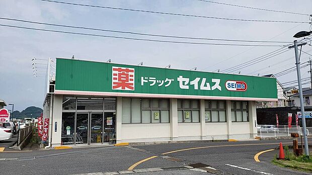 ドラッグセイムス皇徳寺店（約890m）