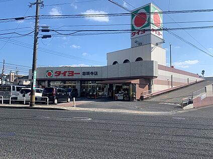 タイヨー　慈眼寺店 210ｍ(徒歩3分)