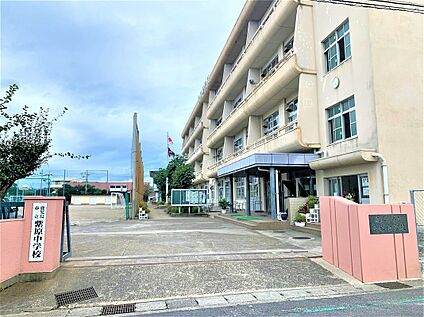 紫原中学校 250ｍ(徒歩4分)