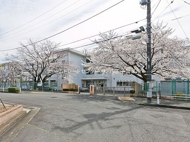 八王子市立石川中学校(約1,100m)