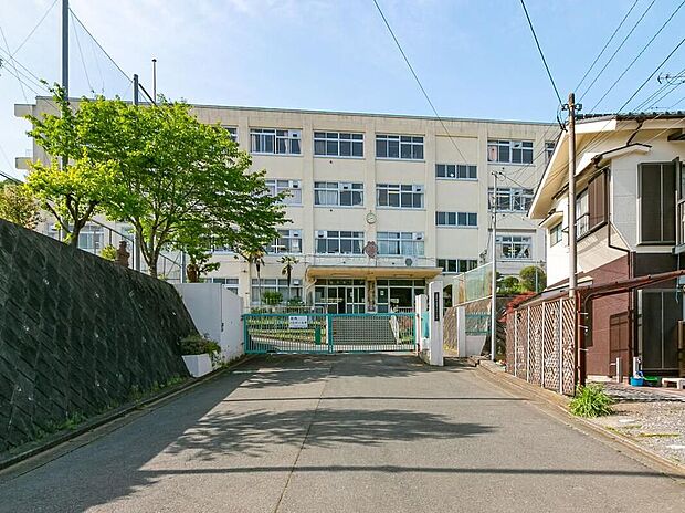 八王子市立恩方第一小学校（約800m）