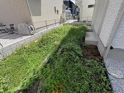 庭