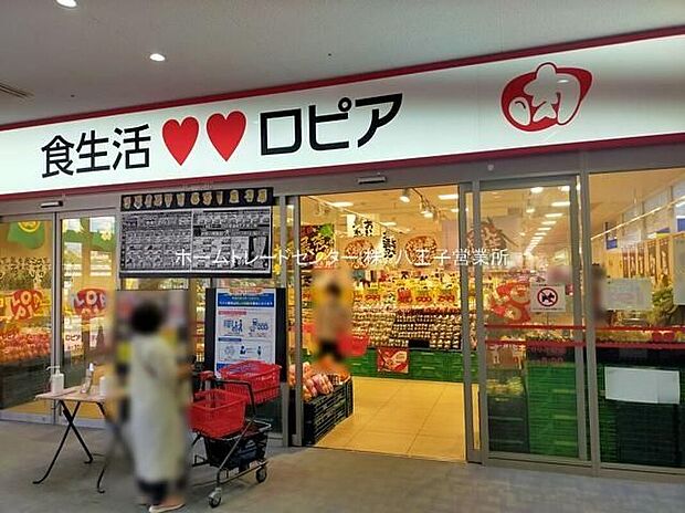ロピア八王子みなみ野店（約720m）