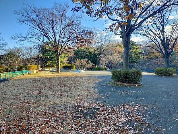 大塚西公園（約650m）