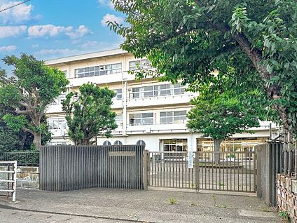 鎌倉市立七里ガ浜小学校 徒歩240m