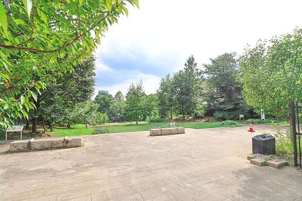 おとめ山公園