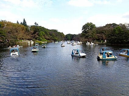 井の頭恩賜公園 800ｍ