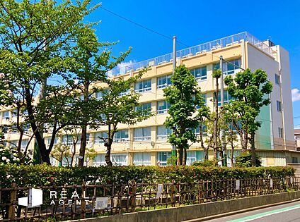 葛飾区立二上小学校 650ｍ