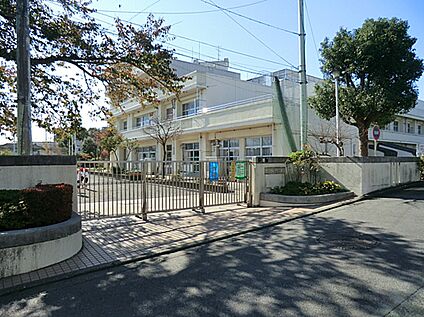 横浜市立恩田小学校 503ｍ