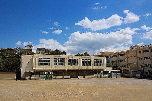 川崎市立生田小学校(約1,300m)
