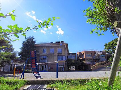 川崎市立向丘小学校 620m(徒歩8分)