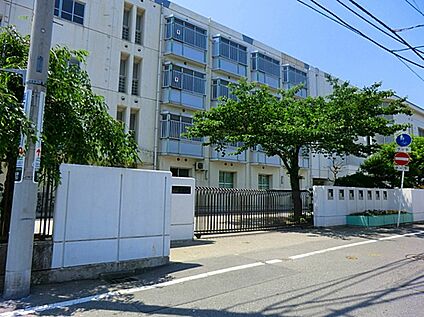 川崎市立南加瀬中学校 290ｍ(徒歩４分)