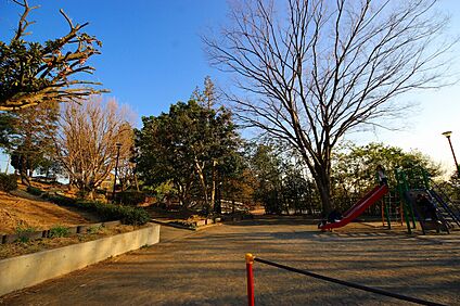 梅が丘第三公園 100ｍ(徒歩2分)
