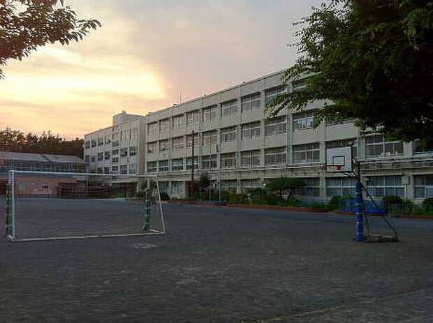 横浜市立山下小学校(約1,260m)