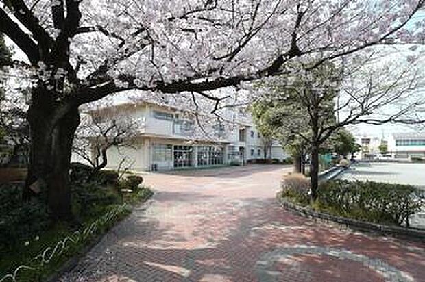 横浜市立あざみ野第二小学校(約430m)