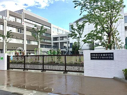 川崎市立東橘中学校 1370ｍ(徒歩18分)