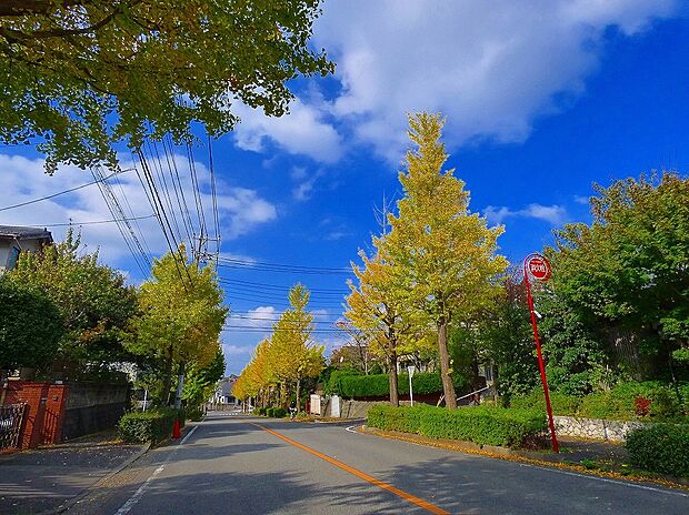 岡崎医院（約1,200m）