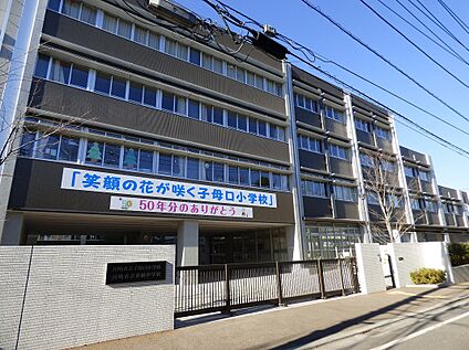 川崎市立東橘中学校 1070ｍ(徒歩14分)