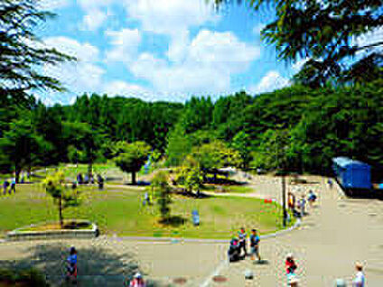 菅生みどり公園 50ｍ(徒歩1分)