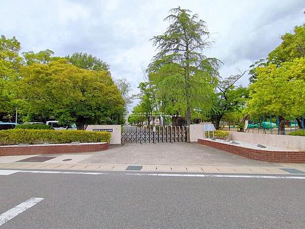 刈谷市立かりがね小学校(約480m)