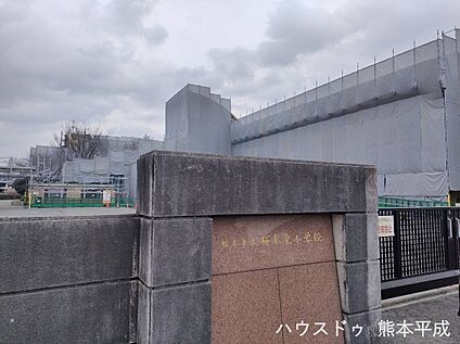 桜木東小学校 1010ｍ(徒歩13分)