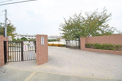 福岡市立香椎小学校 徒歩1550m