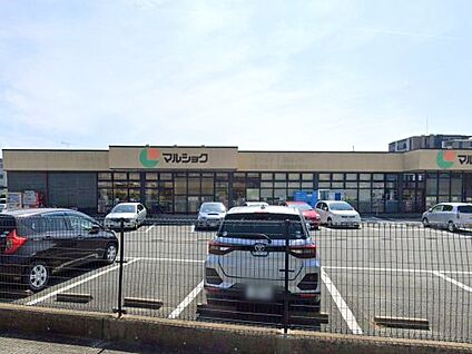 マルショク 三苫店 徒歩966m