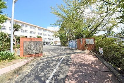 友泉中学校 徒歩1199m