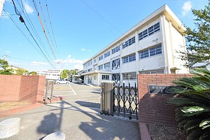 春日中学校 徒歩870m