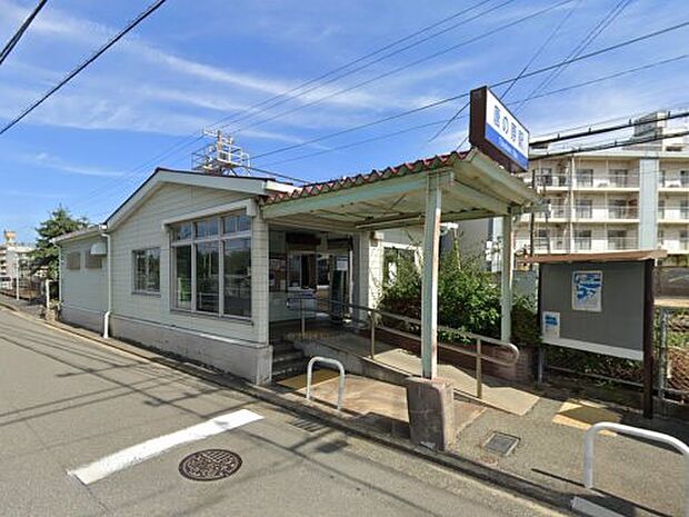 唐の原
