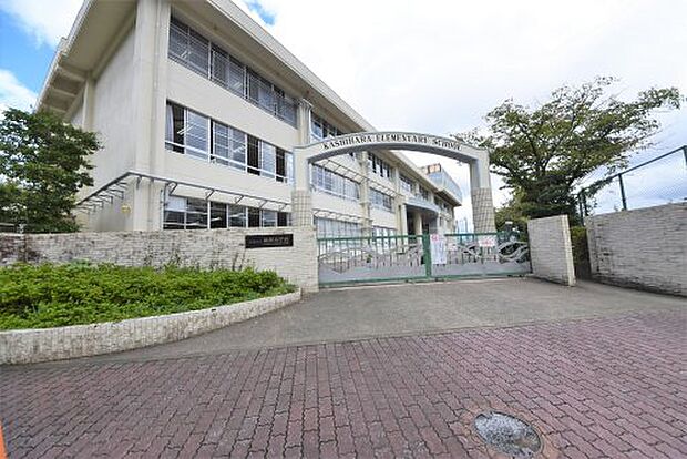 福岡市立柏原小学校