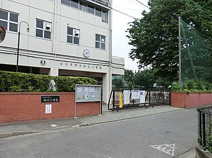 西東京市立柳沢小学校 560m(徒歩7分)