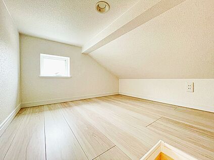 【小屋裏収納】