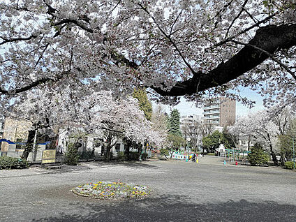美好町公園  750m(徒歩11分)