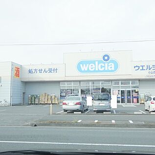 ウエルシア小山西城南店　 徒歩430m