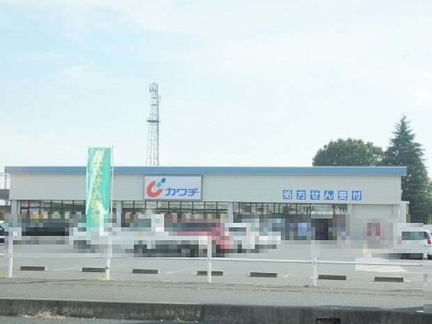 カワチ薬品 城内店