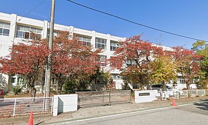 彦根市立金城小学校 徒歩1685m