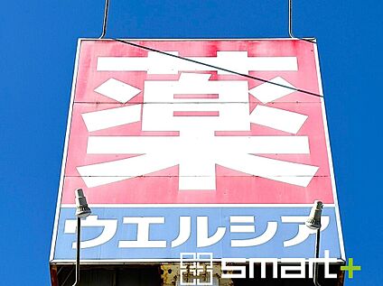 ウエルシア柏酒井根店 500m