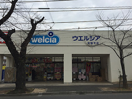 ウエルシア常盤平店 400m