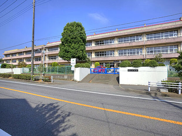 南山中学校（約1,300m）