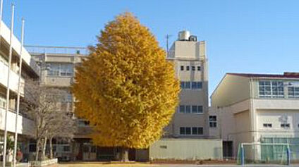 横浜市立城郷小学校 徒歩1101m