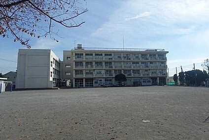 横浜市立篠原小学校 徒歩1073m